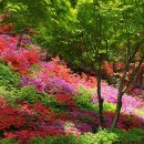 대순진리회 - 『상생의 길』