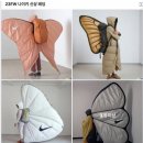 자라다 이미지
