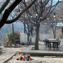충주맛집 &#34; 민들레&#34; 후기.