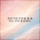 하트동물메디컬센터 | 반려동물 건강을 지키는 동물병원 선택 팁