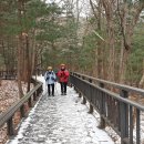 관악산 무장애숲길 이미지