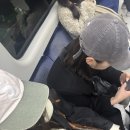 본우리집밥 인천국제공항관리청사점 | [ 중국 상해] 3박4일 여행 후기(1일차~2일차, 12월 자유여행, 날씨, 일정 공유)