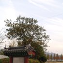 상주 조공제 이미지