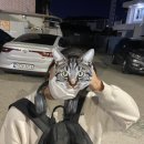 삼오휴게점 | 10.11~10.16