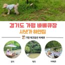 하얀집 | 가평 바베큐장 추천｜강아지랑 계곡 옆 바베큐만 즐긴 시냇가 하얀집 후기