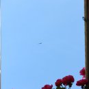 장미공원길 이미지