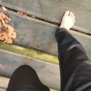 # 헬스타짐 이미지