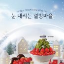 141 이미지