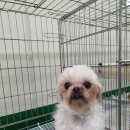 금비동물병원 피플워치