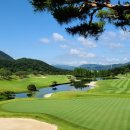 에이원 CC 이미지