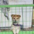 귀족세탁 이미지