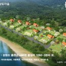 주식회사 황토인 이미지