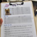 다람플레닛 이미지