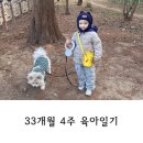 진성주유소 | [33개월 4주 육아일기] 새해맞이 찜질방 카페 삼겹살외식 퍼즐놀이 산책일상