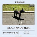 강아지 하네스 리드줄 추천 유니노스 개인냥심 하네스 후기