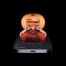 주식회사 버드소리 이미지