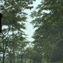 옥정호 뷰 정읍 풍경소리캠핑장 추천 A2 사이트 후기