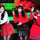 세시봉콘서트 TV리포트