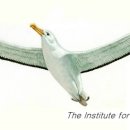 알바트로스(Albatrus)