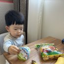 24년 5월. 네번째 후쿠오카. 그 첫번째 기록. 19개월 아기랑 호빵맨 박물관 솔직후기 소소한 팁.