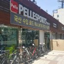 펠레스포츠 네이버블로그