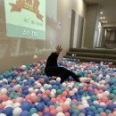 파주 운정 :) 돌아기도 가기 좋은 키즈카페 : 꼬마대통령 파주 운정점.