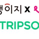 (주)교원투어 스포츠동아