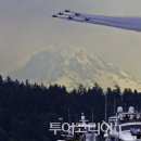 시애틀라이브