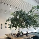 주민네가게 | [영종도 주민 인정] 지금이곳 겨울 분위기 미쳤다! 트리 맛집 솔직 후기