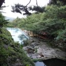 자연농원 이미지