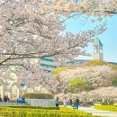 디자인테드미술학원