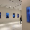 정원노래연습장 | 20251123_결혼식, 결혼식, 결혼식 (서울숲복합문화체험센터 수영장)