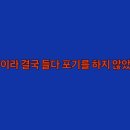 디자인마로 이미지
