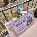 안동카태화세차장 | [봄나들이] 경북 안동시, 탈춤공원 벚꽃길 - 천리천 산책로 #안동벚꽃축제 #안동벚꽃명소