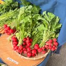 고양리틀야구장 | 26.03.29 농부시장 마르쉐 @ DDP 방문후기