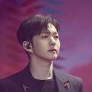 MD포유 마이데일리