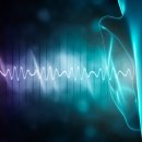 세종보청기 이미지