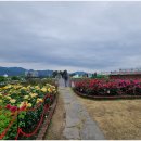 곡성-187 이미지