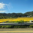 도장포어촌체험마을낚시터 이미지