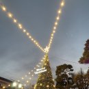거창크리스마스트리문화축제 이미지