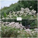 청명주공공인중개사사무소 이미지