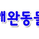 피엠엘 이미지