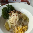 세비체210