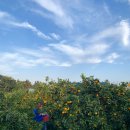 승재 농장 이미지