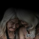 롤 밀리오 이야기 서폿 밀리오 온화한 불꽃 가슴 따뜻한 F 남자
