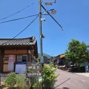 정금마을 차밭 앞 | [하동 1박 2일] 최참판댁, 솔향 맷돌 콩국수, 평사리 부부소나무, 화개장터, 정금 차밭