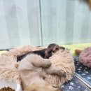 오픈주 하남스타필드점 이미지