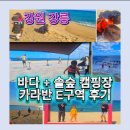 솔향기바다 | 연곡 솔향기 캠핑장 카라반 후기 | 강릉 캠핑장 바다 솔숲 동시에 즐기는 강릉 솔향기 캠핑장 예약 팁