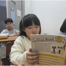 아이엘에스 네이버블로그