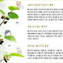 오디N오디 이미지